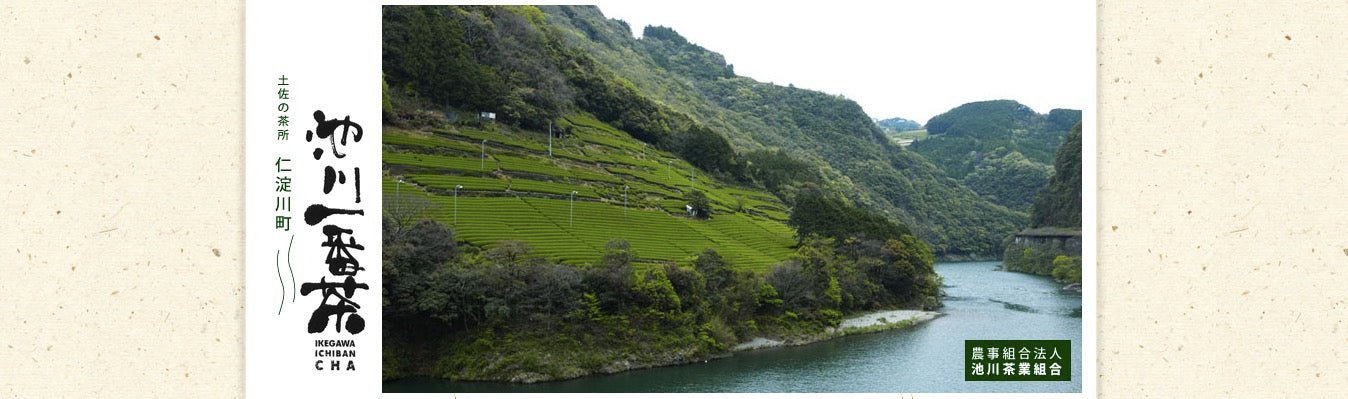 Ikegawa Tea Farm Coop - natsumiya.live