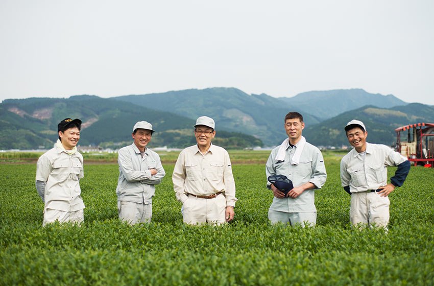 Miyazaki Kamimizu Tea Farm - natsumiya.live