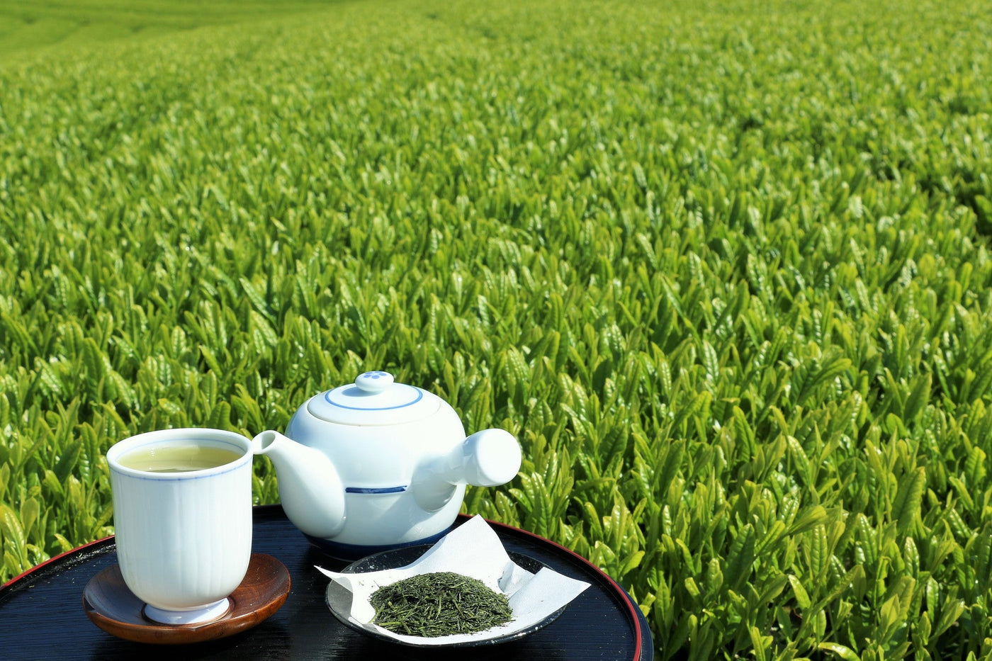 Oyaizu Tea Factory