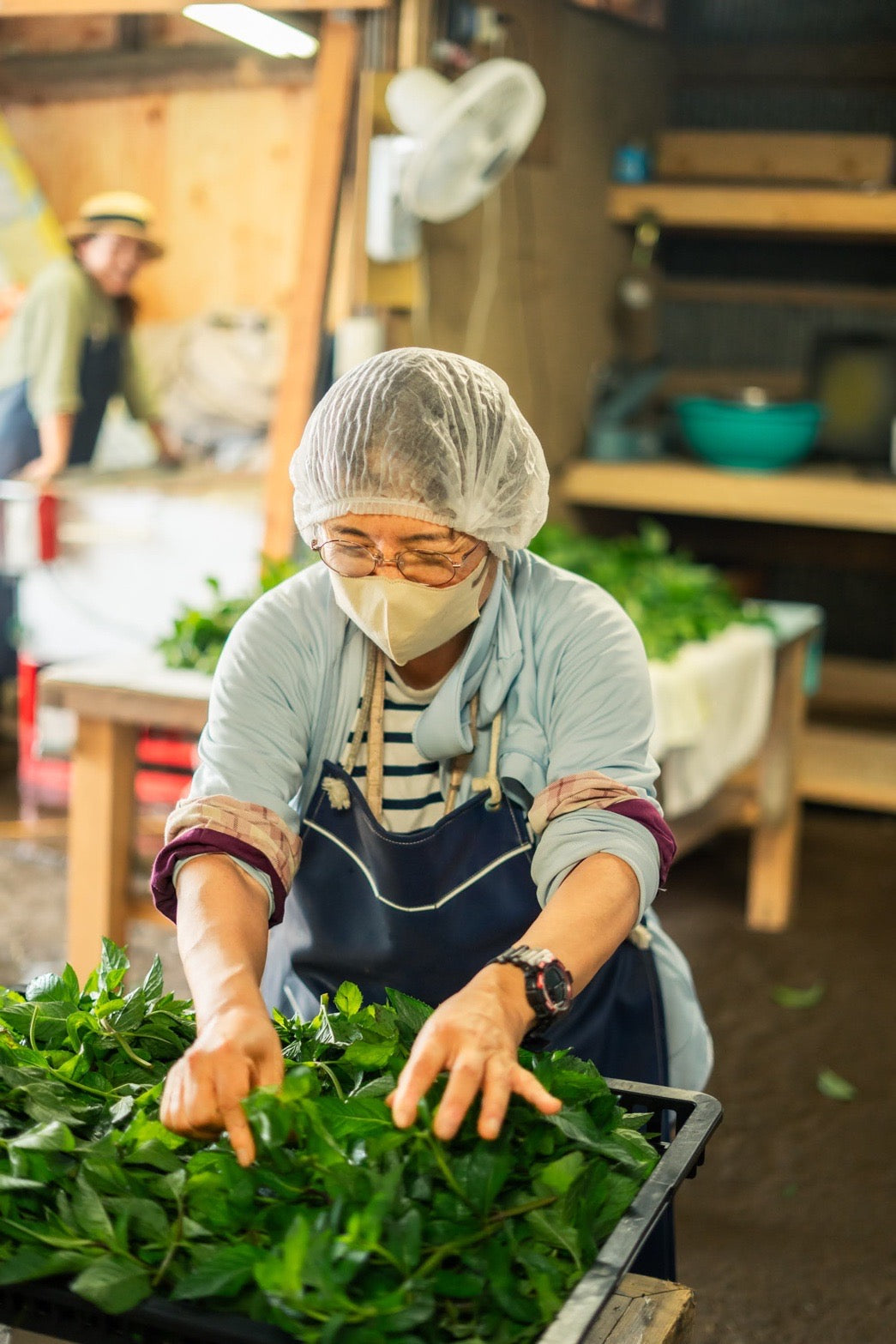 #0947.J1 ヒロコのハーブガーデン:茨城県古河村産 乾燥スペアミントハーブティー