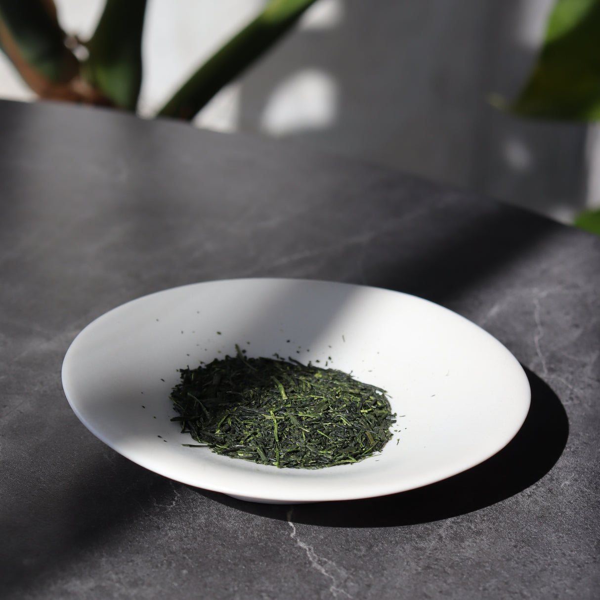 #0641.K2:末吉銘茶「郷里の華」さえみどり|末吉製茶工房