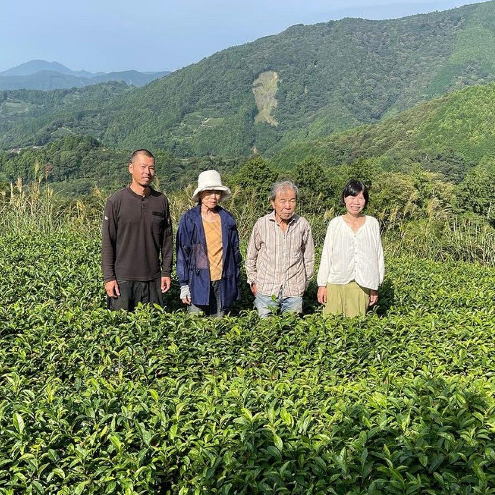#0041.S5 NaturaliTea: Hatsutsumi Midori Hashiri Shincha First Flush Asamushicha 有機浅蒸し煎茶: 初摘みみどり