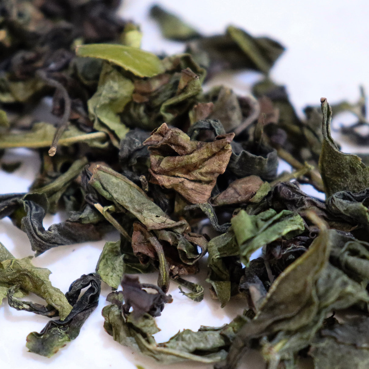 #0492.M3 宮崎茶房 MY12: 自然栽培烏龍茶 金谷みどり単一品種