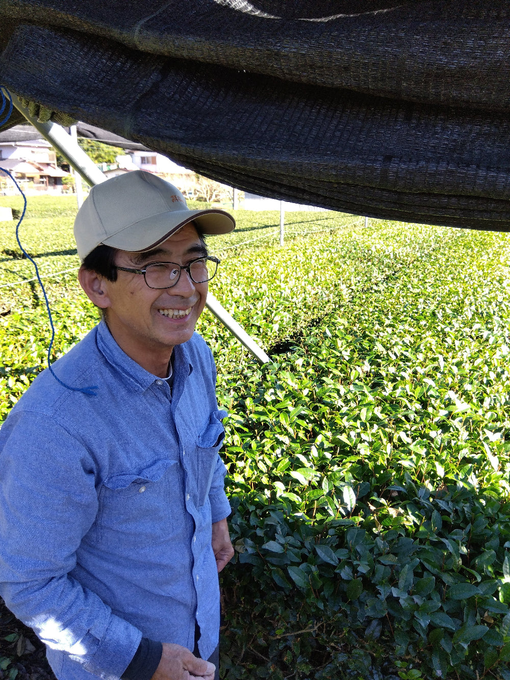 #0327.S2 静岡の丘から生まれた本山抹茶