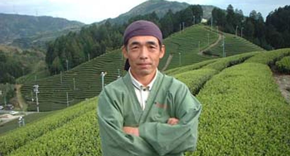#0698.K6 Uejima Tea Farm: Single Cultivar Saemidori Sencha from Wazuka, Kyoto