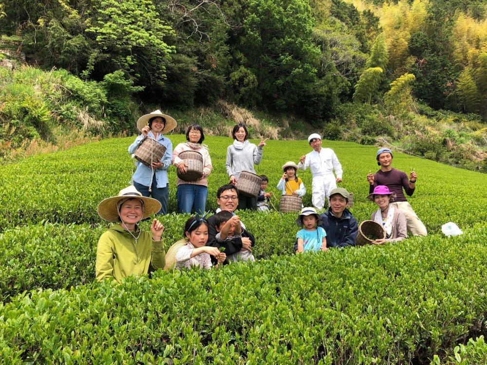 Ayumi Farms (Cyittorattu): 2022 Handpicked Shizuoka Sencha (Ultra Micro Lot, Limited Edition) 手と手で紡ぐ「手摘み煎茶」 30g - natsumiya.live