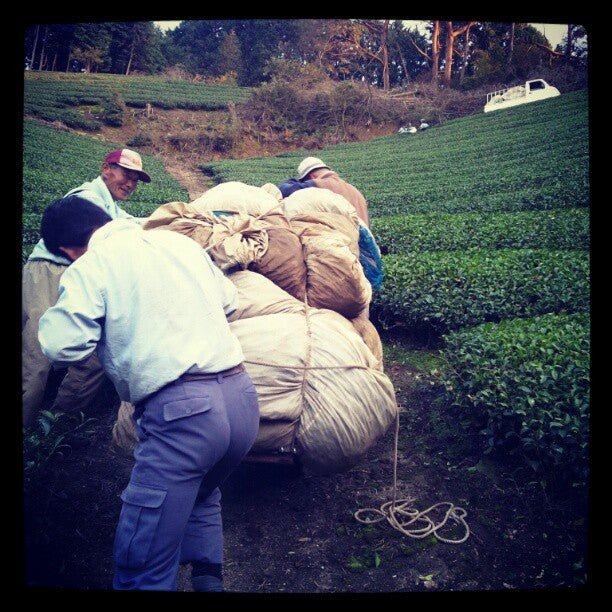Azuma Tea Garden: All-Purpose Matcha (Premium Culinary Grade) オールパーポス抹茶 - natsumiya.live
