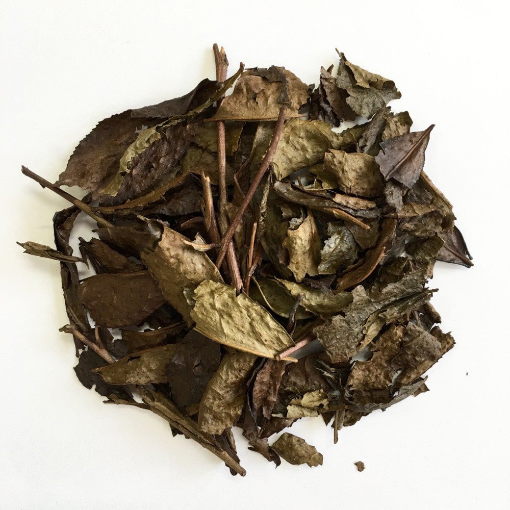 Chasandai Tea Factory: Shimane-Grown Roasted Bancha (Unrolled Hojicha) 100g - natsumiya.live