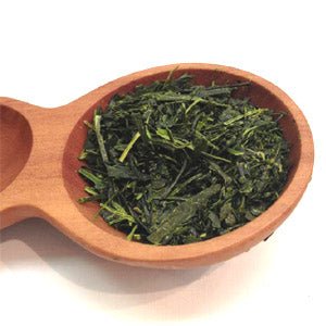 Dobashien Tea #05: Kakegawa Series: Shizuoka Sencha, Hatsuzumi 初摘 - natsumiya.live
