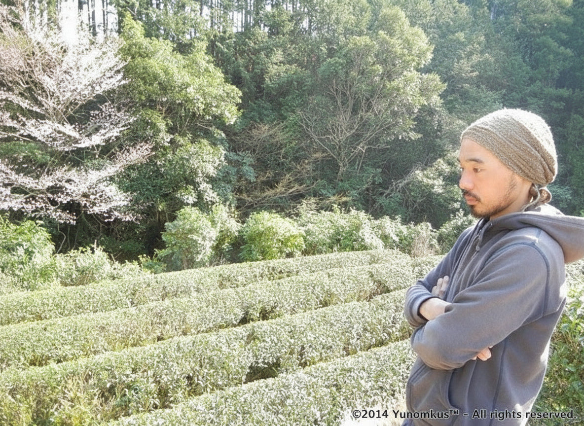 Dokodemosora #02: Naturally Grown Wakayama Superior Hojicha Roasted Green Tea - natsumiya.live