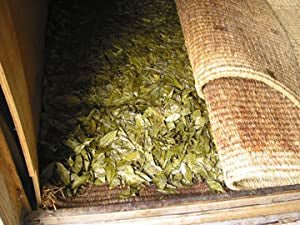 Goishicha from the Otoyo Town Goishicha Producer's Association 大豊町碁石茶協同組合 『本場の本物』碁石茶 - natsumiya.live