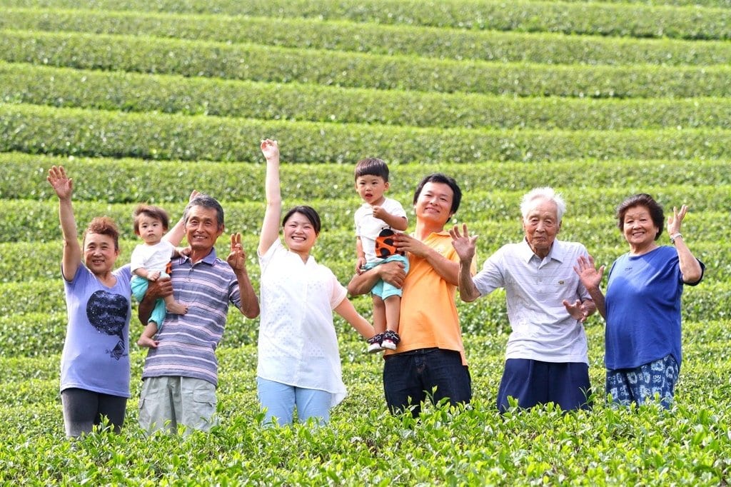 Kaneroku Matsumoto Tea Garden: 2022 Shincha - Limited Edition - Ohashiri 大走り新茶 - natsumiya.live