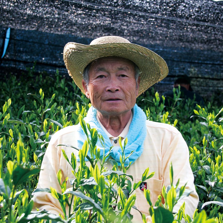 Kaneta Ota Tea Garden: Micro batch 2022 Sencha, Single Cultivar Yume Suruga - natsumiya.live