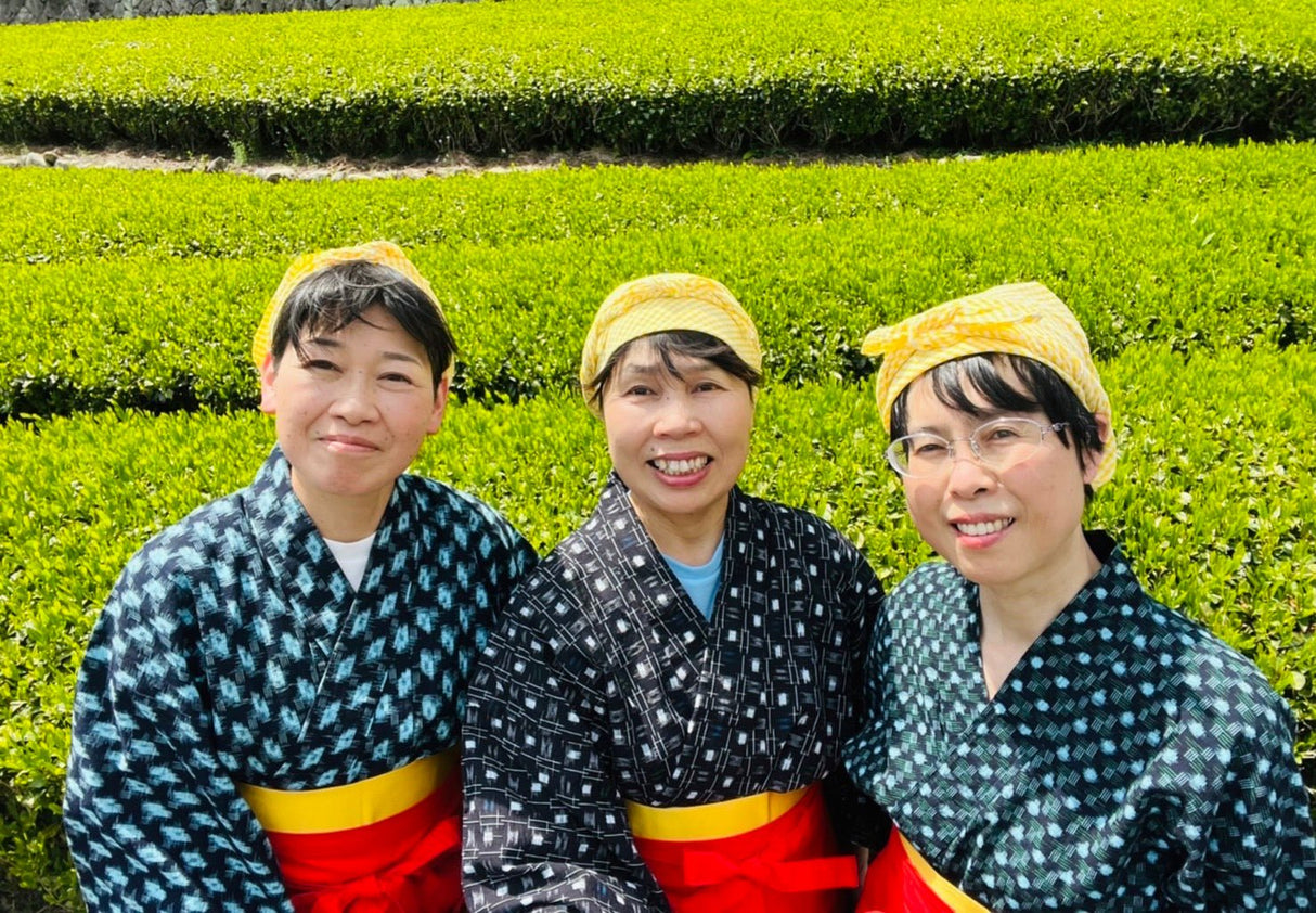 Kiyosawa Tea Gardens: Shizuoka Spring Asamushi Sencha by Farmer Sugiyama Yachiyo - natsumiya.live