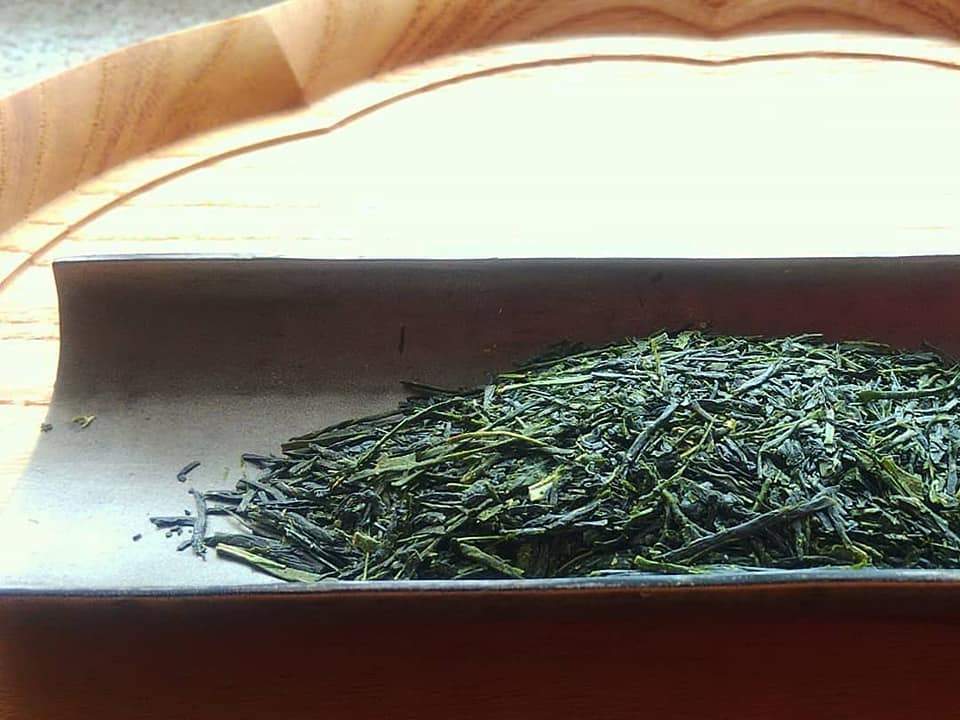 Kuma Tea Garden: 2022 Yamecha Mountain-Grown Sencha Yabukita 奥八女 上陽茶 やぶきた - natsumiya.live