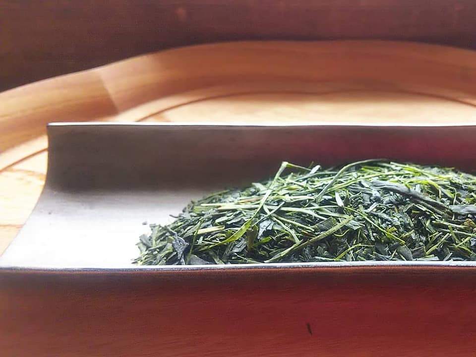 Kuma Tea Gardens: Mountain-Grown Yame Sencha, Single Cultivar Kirari 31 - natsumiya.live