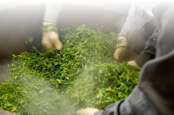 Kunitomo: Riguricha Ryu - The Mountain Dragon - Handpicked, Wild Kamairicha りぐり茶 龍 - natsumiya.live