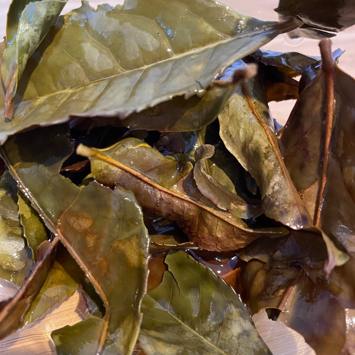 Mitocha NR006: Makibi Kancha Firewood Winter Green Tea (Aged) 薪火寒茶 - natsumiya.live
