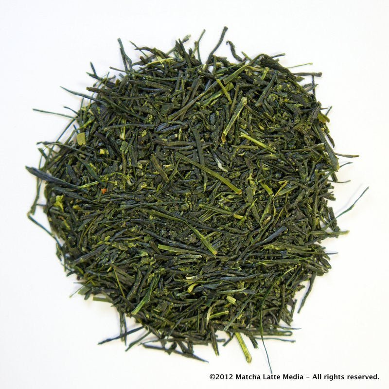 Morita Tea Garden Premium Sayama Sencha, Suiren 睡蓮 - natsumiya.live