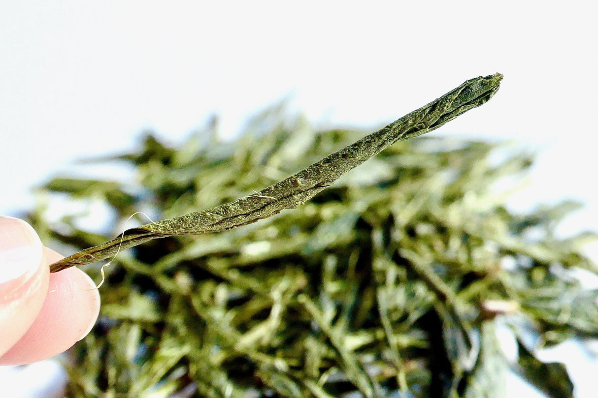 Obubu #08: Yanagi Bancha, Green Tea - natsumiya.live