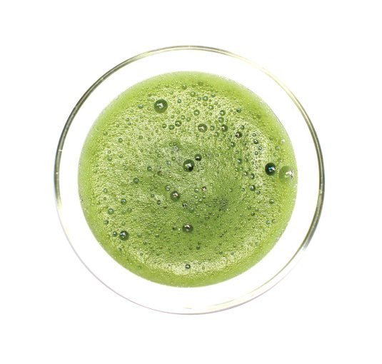 Obubu Tea #19: Excellent Culinary Grade Matcha - natsumiya.live