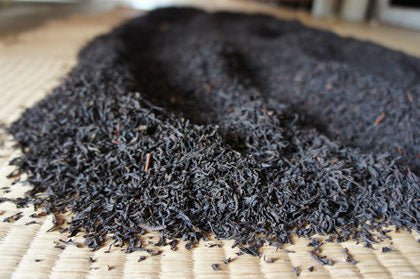 Ogura Tea Garden: Yabukita Wakocha First Flush Black Tea from Ashigara, Kanagawa 足柄産のやぶきた紅茶 - natsumiya.live