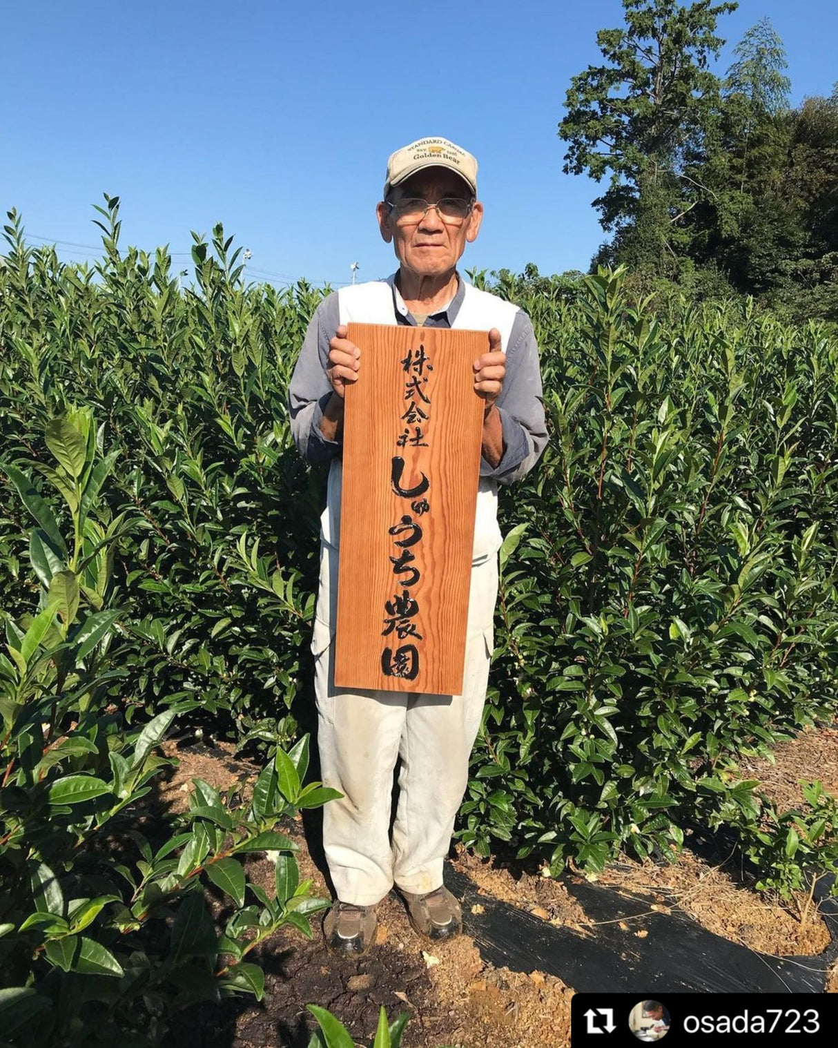 Shuchi Tea Garden: Fukamushicha Green Tea, Kirari 31 Single Cultivar, 2022 Nihoncha Awards Platinum Medal Winner, Refined by Osada Tea - natsumiya.live