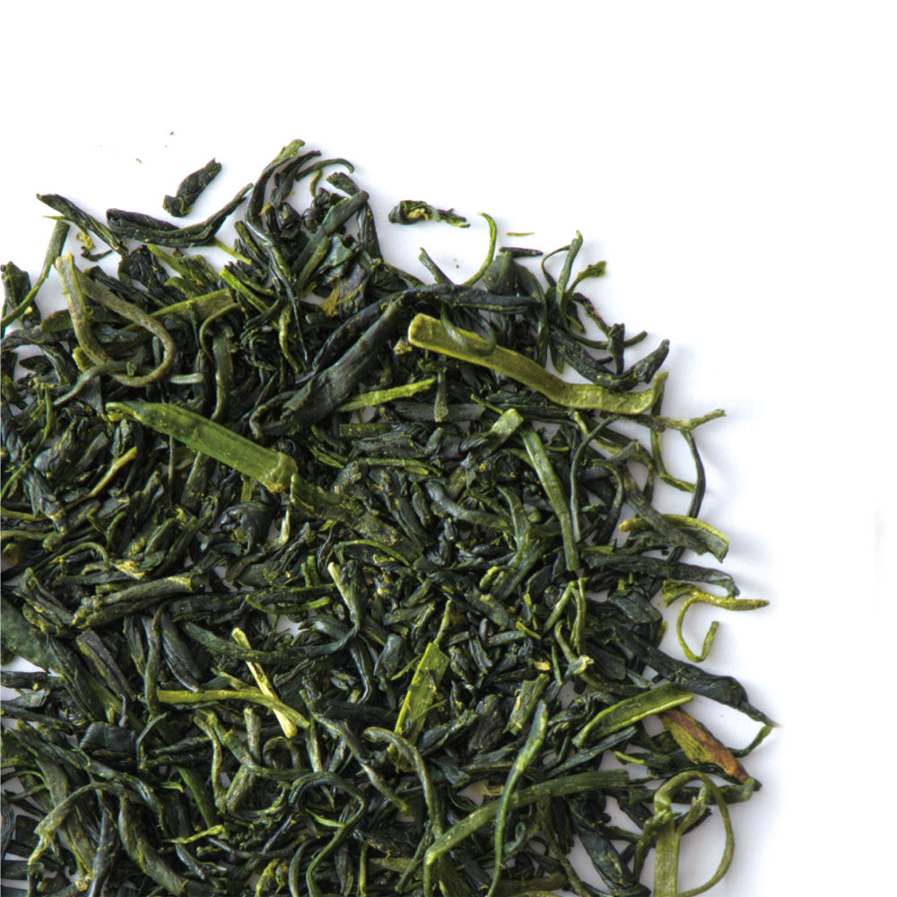 #0682.K5 Tomizawa Tea Garden: 2026 Kabusecha Saemidori Kumamoto Guricha "Green Tea.Lab" かぶせ茶 冴え緑 (JAS Organic)