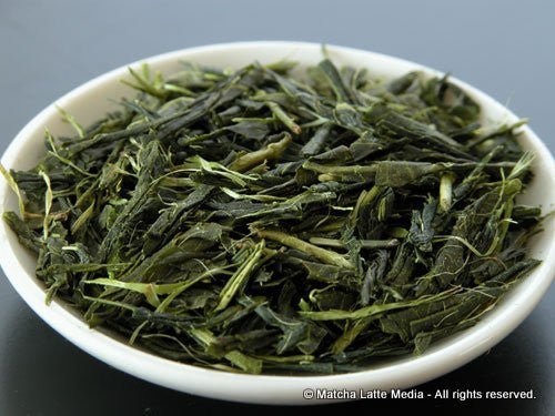 Takeo Tea Farm: 2022 Organic Bancha Green Tea, Satsuki no Aoyanagi, May harvest 五月の青柳 - natsumiya.live