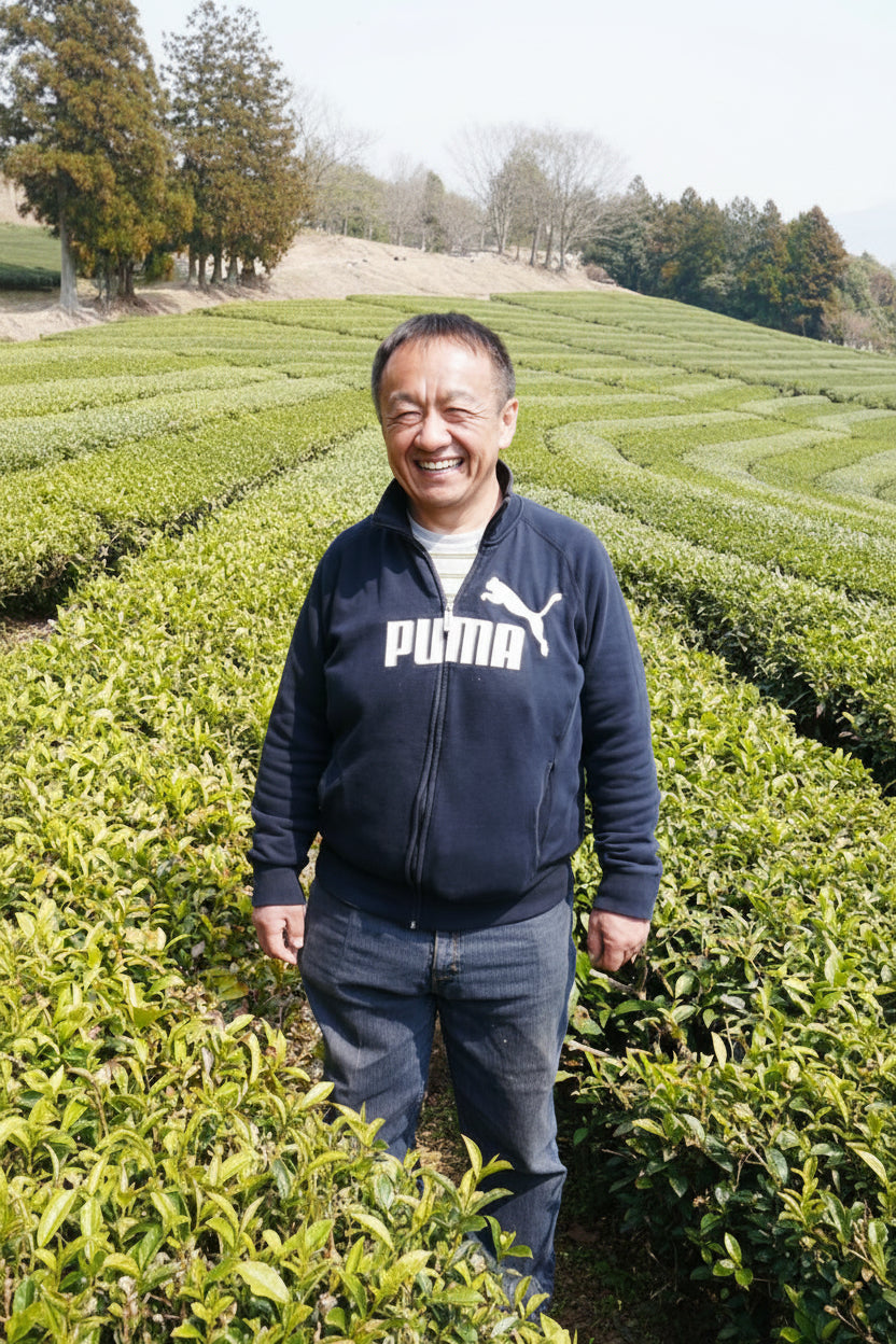 Tarui Tea Farm: 2022 Organic Sencha - Shurei, Elegant Beauty 有機 秀麗 - natsumiya.live