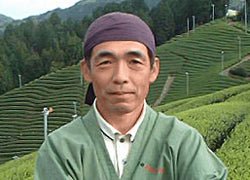 Uejima Tea Farm: Wazuka Sencha Premium (Okumidori/Tsuyuhikari) 特上煎茶 - natsumiya.live