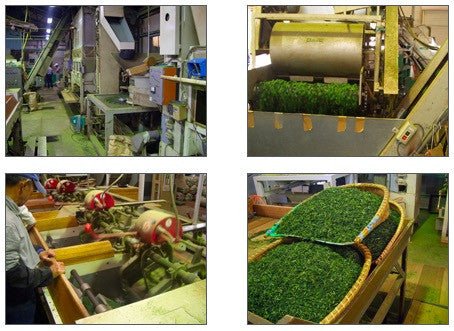 2016 Statistics on Tea Production in Japan - natsumiya.live