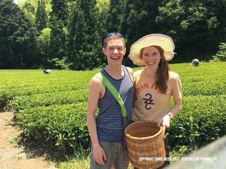A Visit to the NaturaliTea Tea Farm and Making Black Tea in Shizuoka - natsumiya.live