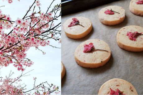 Eat and Taste Sakura Blossoms! - Sakura Biscuits Recipe - - natsumiya.live