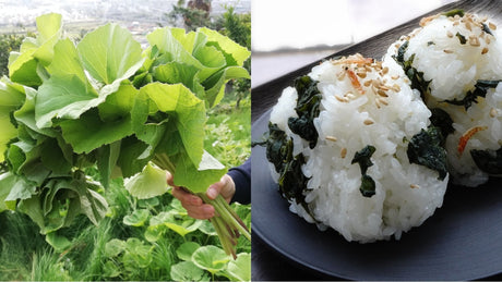 How to Forage and Cook Sansai (山菜) in Spring in Japan - natsumiya.live