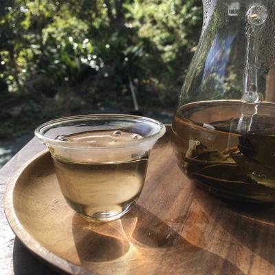 Kancha, A Rare Japanese Tea Harvested in the Winter Time - natsumiya.live