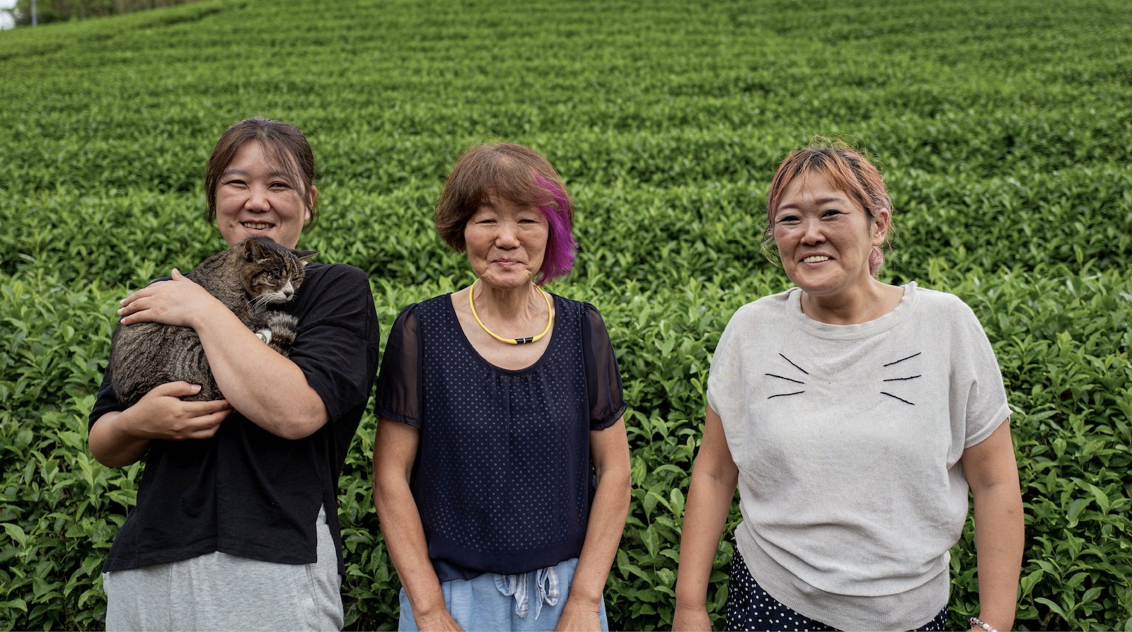Kiroku Tea Garden: Women Owned Tea Farm - natsumiya.live
