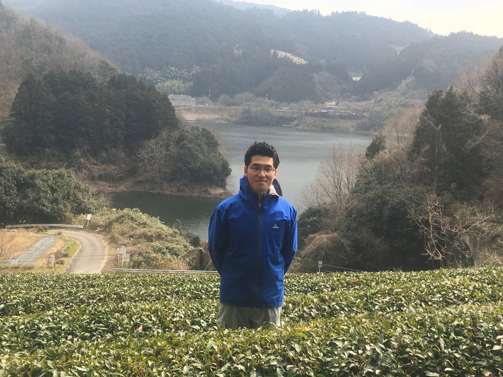 Tea Farm Mitocha: Preserving A Historical Folk Tea - natsumiya.live