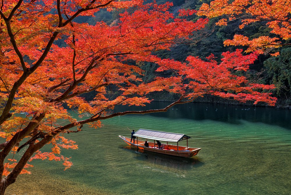 The Colors of a Season: Experience Autumn Foliage from Hokkaido to Kyushu - natsumiya.live