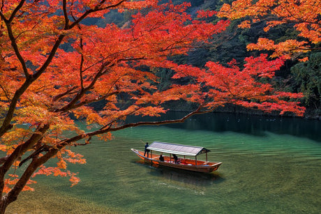 The Colors of a Season: Experience Autumn Foliage from Hokkaido to Kyushu - natsumiya.live