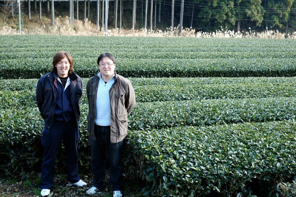 The Kurihara Brothers – 4th generation tea farmers - natsumiya.live