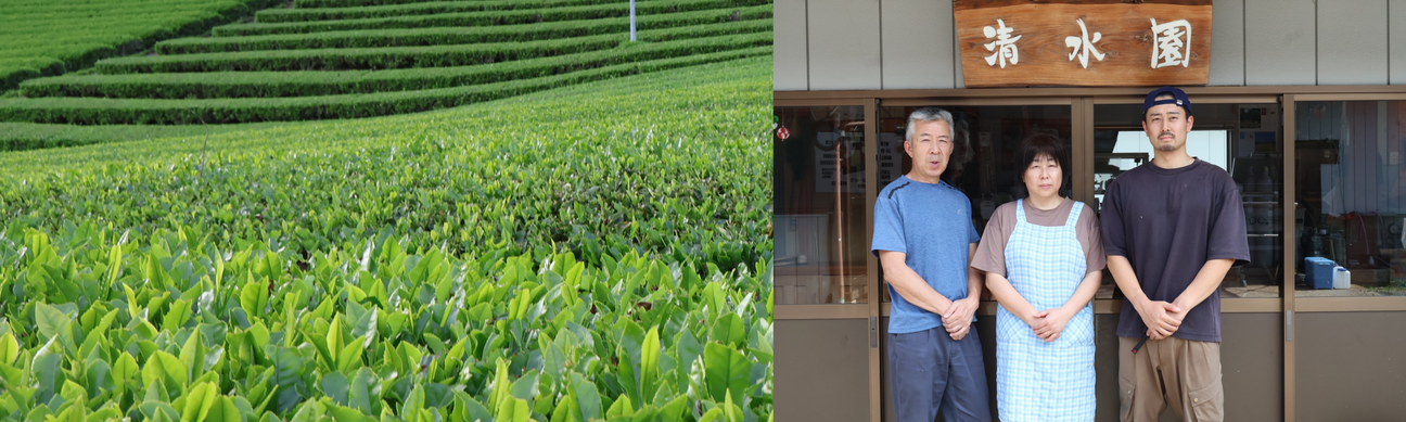 Shimizu Tea Garden