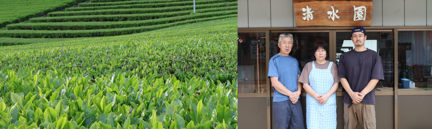 Shimizu Tea Garden