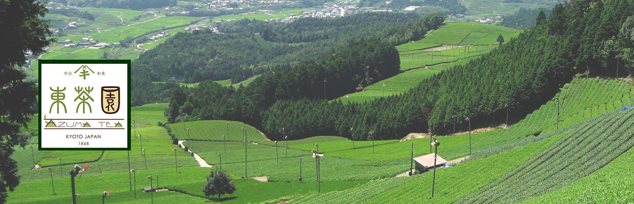 Azuma Tea Garden - natsumiya.live