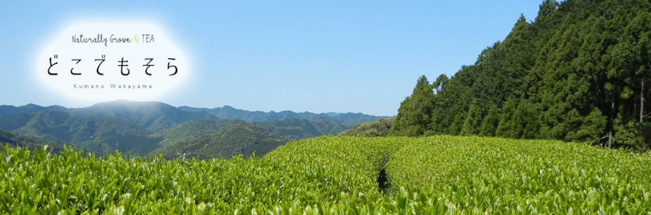 Dokodemosora Tea Farm - natsumiya.live