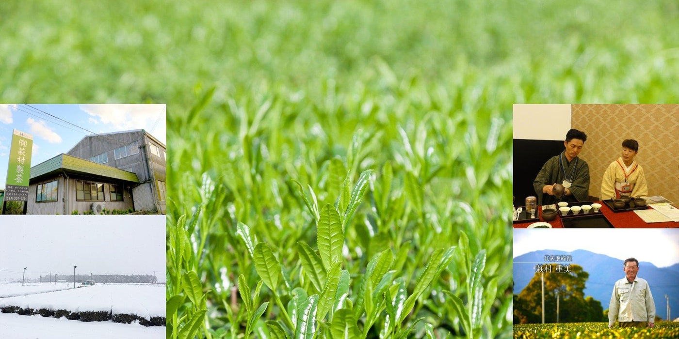 Hagimura Tea Factory - natsumiya.live