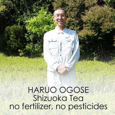 Haruo Ogose - natsumiya.live