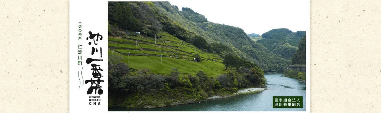 Ikegawa Tea Farm Coop - natsumiya.live