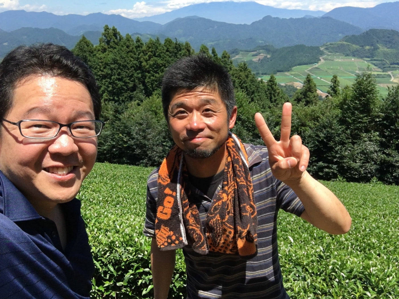 Murakami Tea Garden - natsumiya.live