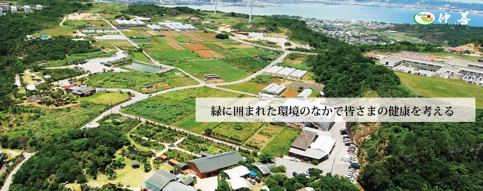 Nakazen - natsumiya.live
